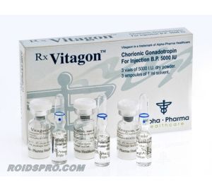 Vitagon for sale | HCG 5000 IU x 3 ampoule | Alpha Pharma Healthcare